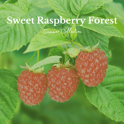 Sweet Raspberry Forest - Candle
